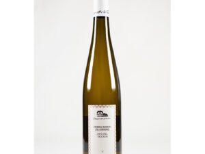 2025 Mehringer Zellerberg Riesling "Terra Rossa" trocken 0,75 l