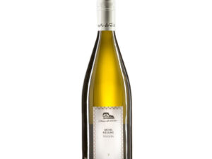 Flasche des 2023 Mosel Riesling trocken
