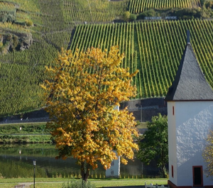 Probierpaket Lagenweine 2024 (6er)